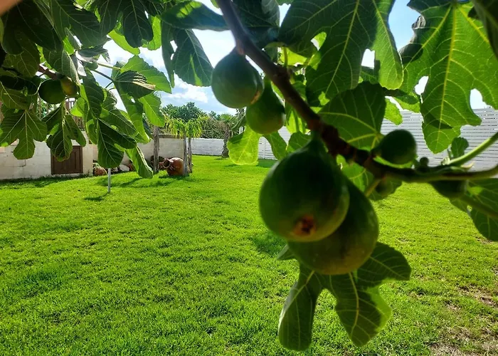 Capitani Appartamento Torre Canne