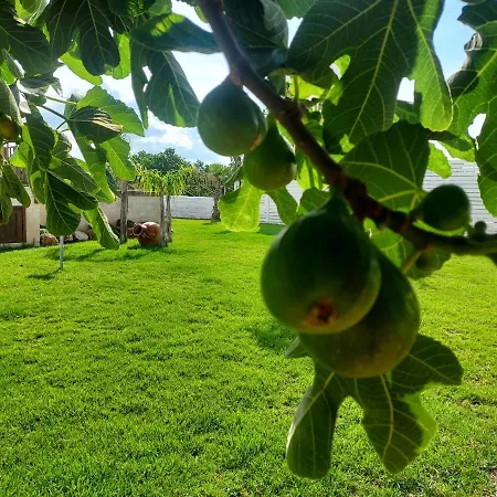 Capitani Apartment Torre Canne
