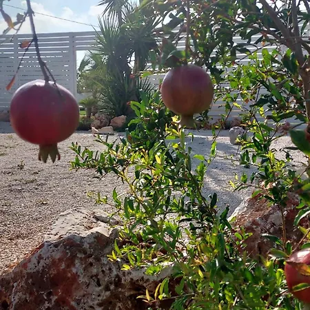 Capitani Apartment *