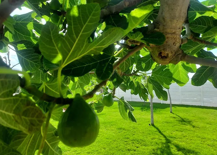 Capitani 公寓 托雷坎内